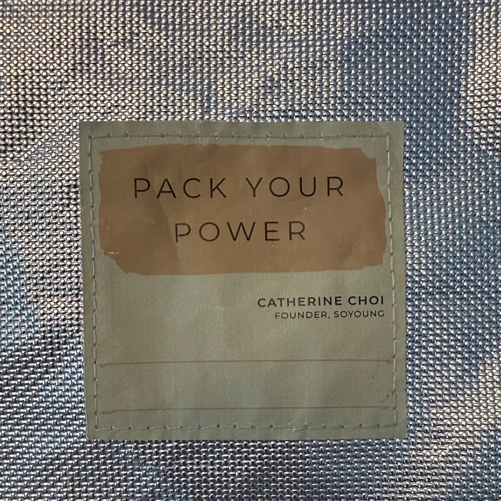 SoYoung So Young Nourish insulated thermal lunch bag Catherine Choi EUC - Picture 6 of 10